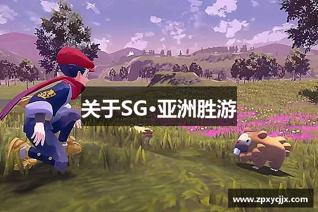 關(guān)于SG·亚洲胜游